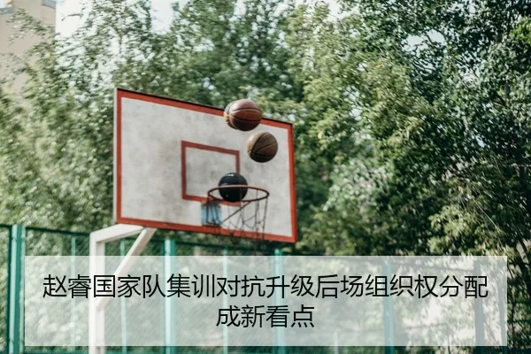 赵睿国家队集训对抗升级后场组织权分配成新看点
